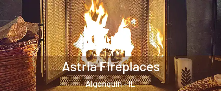  Astria Fireplaces Algonquin - IL