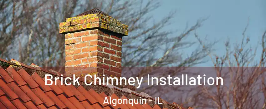  Brick Chimney Installation Algonquin - IL