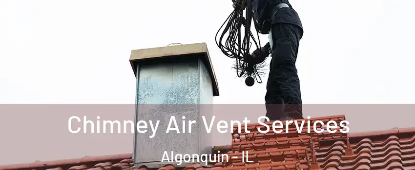  Chimney Air Vent Services Algonquin - IL