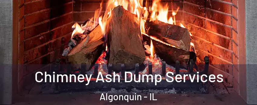  Chimney Ash Dump Services Algonquin - IL