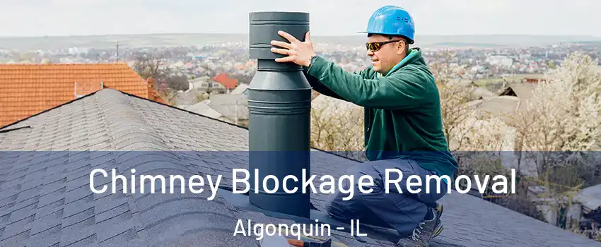  Chimney Blockage Removal Algonquin - IL