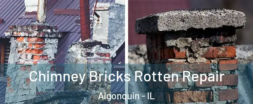  Chimney Bricks Rotten Repair Algonquin - IL
