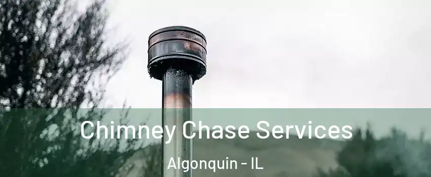  Chimney Chase Services Algonquin - IL