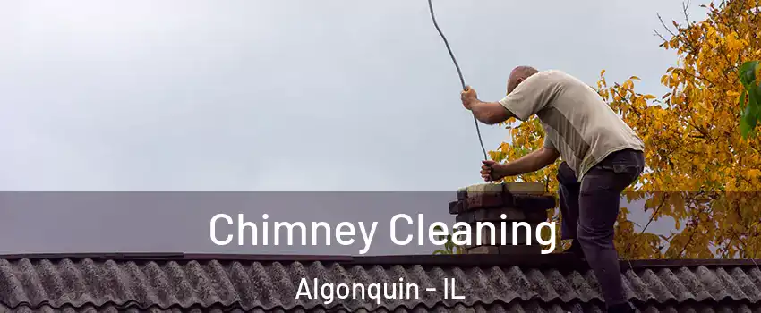  Chimney Cleaning Algonquin - IL