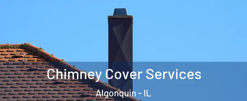  Chimney Cover Services Algonquin - IL
