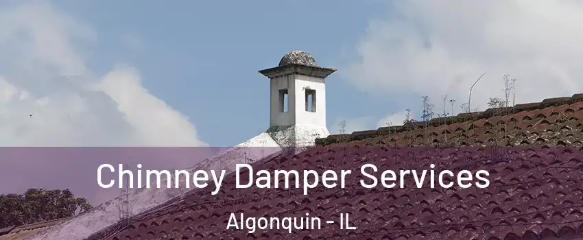  Chimney Damper Services Algonquin - IL