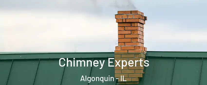  Chimney Experts Algonquin - IL