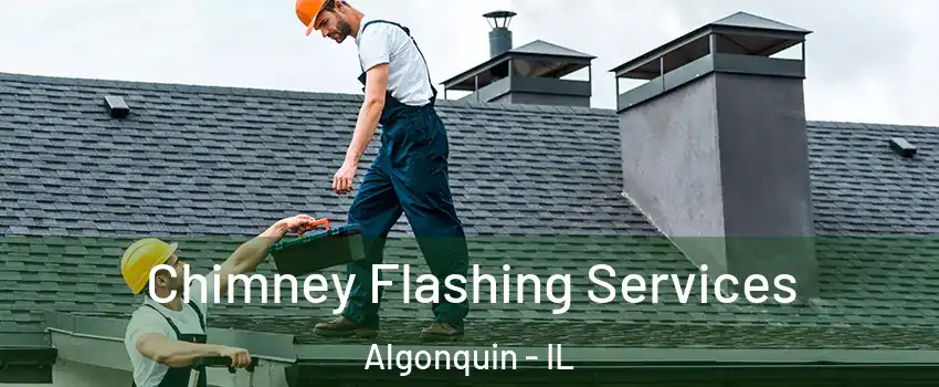  Chimney Flashing Services Algonquin - IL