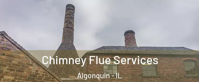  Chimney Flue Services Algonquin - IL