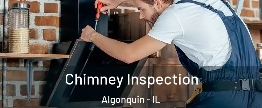  Chimney Inspection Algonquin - IL