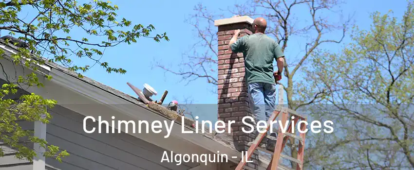  Chimney Liner Services Algonquin - IL