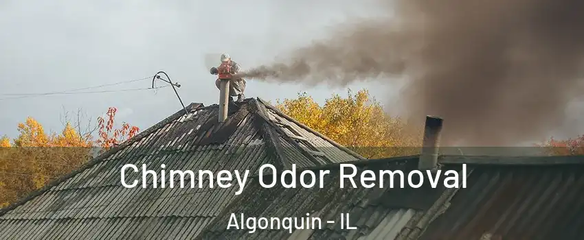  Chimney Odor Removal Algonquin - IL