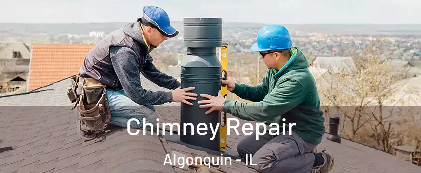  Chimney Repair Algonquin - IL