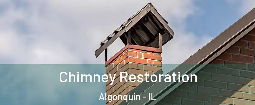  Chimney Restoration Algonquin - IL