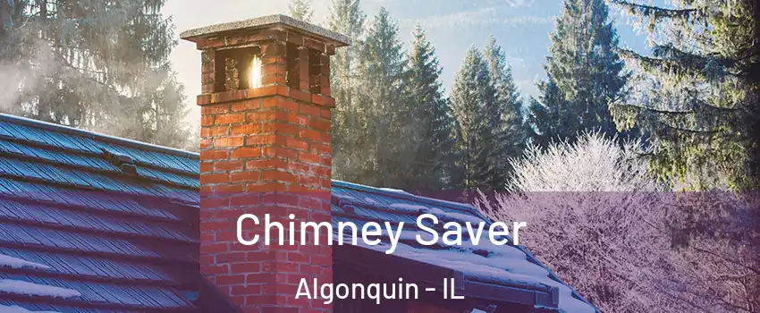  Chimney Saver Algonquin - IL