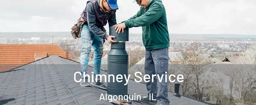  Chimney Service Algonquin - IL