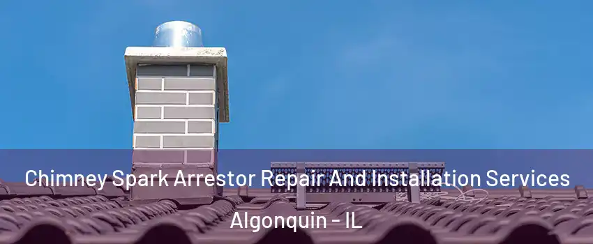  Chimney Spark Arrestor Repair And Installation Services Algonquin - IL