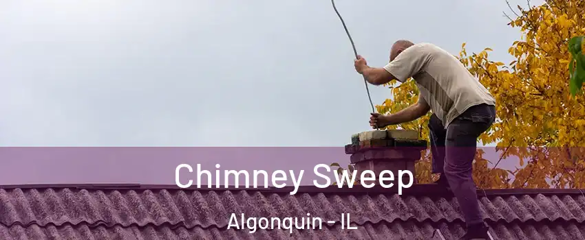  Chimney Sweep Algonquin - IL
