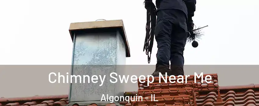  Chimney Sweep Near Me Algonquin - IL