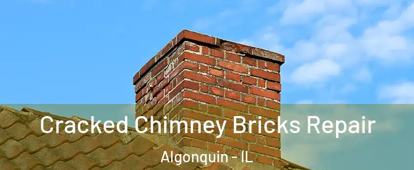  Cracked Chimney Bricks Repair Algonquin - IL