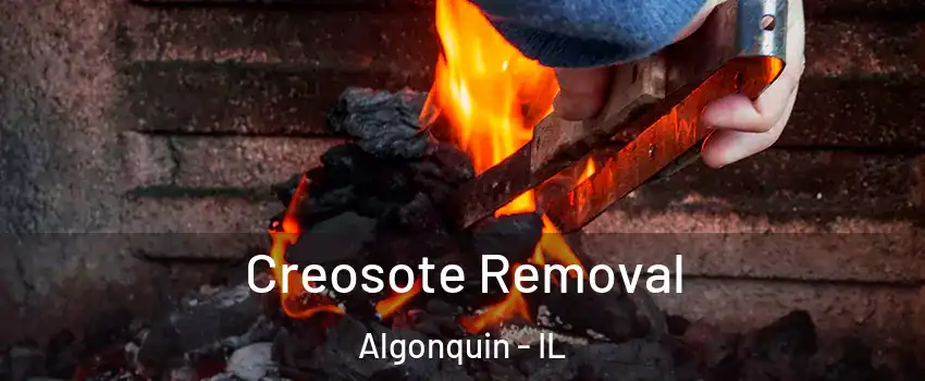  Creosote Removal Algonquin - IL