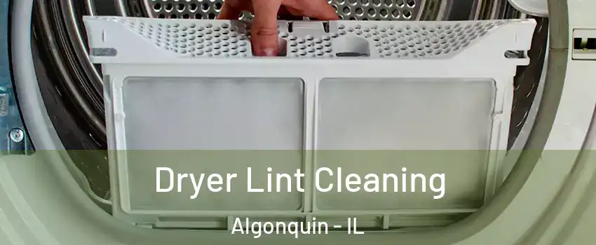  Dryer Lint Cleaning Algonquin - IL