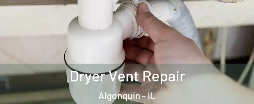  Dryer Vent Repair Algonquin - IL