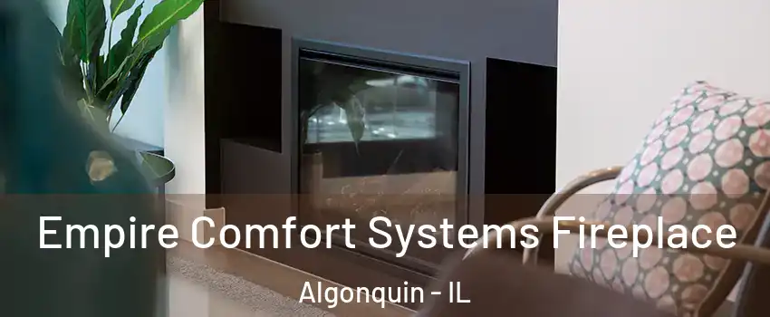  Empire Comfort Systems Fireplace Algonquin - IL