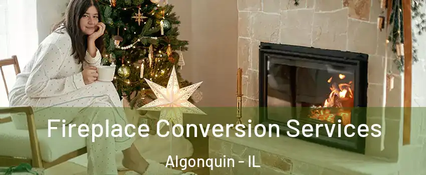  Fireplace Conversion Services Algonquin - IL