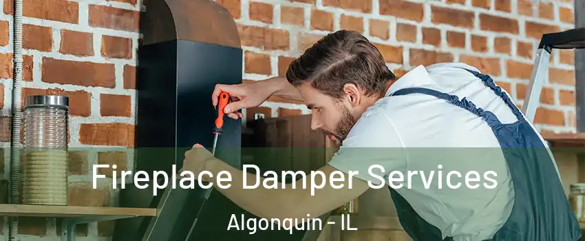  Fireplace Damper Services Algonquin - IL