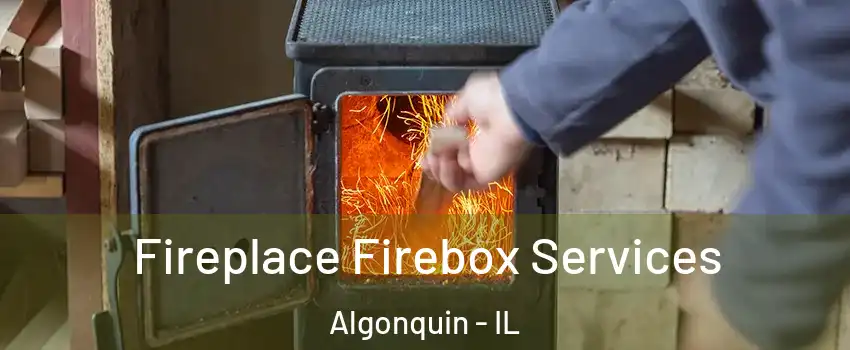  Fireplace Firebox Services Algonquin - IL
