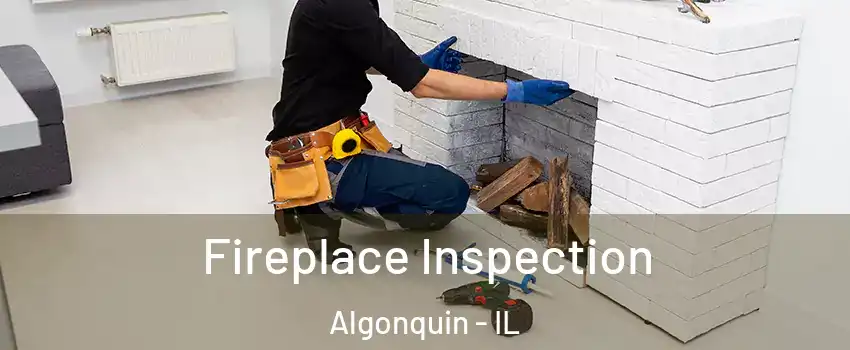  Fireplace Inspection Algonquin - IL