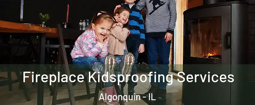  Fireplace Kidsproofing Services Algonquin - IL