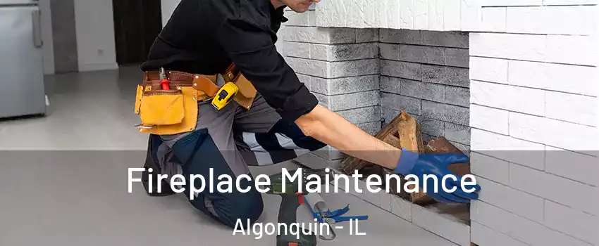 Fireplace Maintenance Algonquin - IL