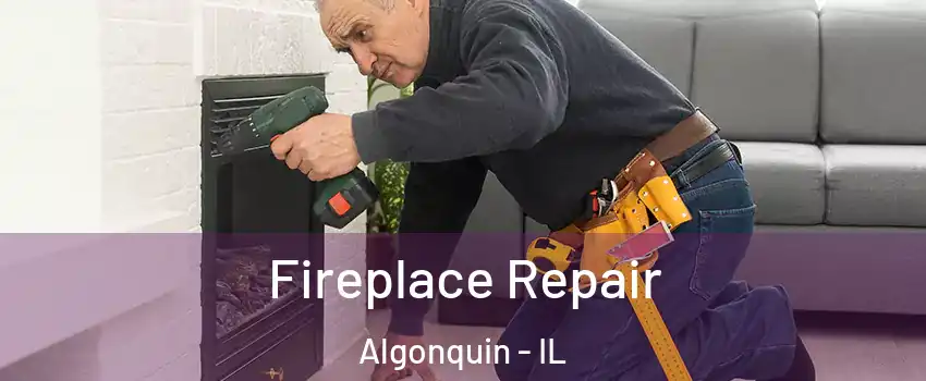  Fireplace Repair Algonquin - IL