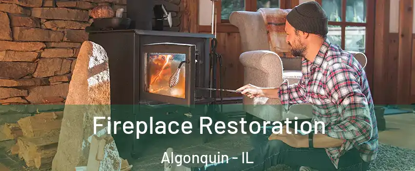  Fireplace Restoration Algonquin - IL