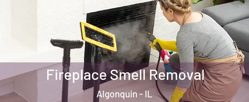  Fireplace Smell Removal Algonquin - IL