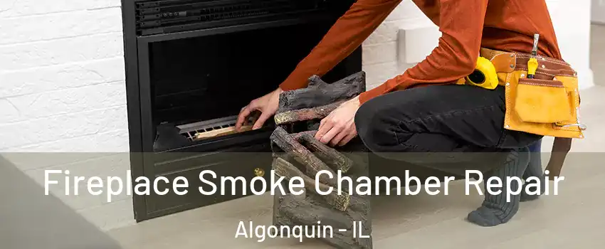  Fireplace Smoke Chamber Repair Algonquin - IL