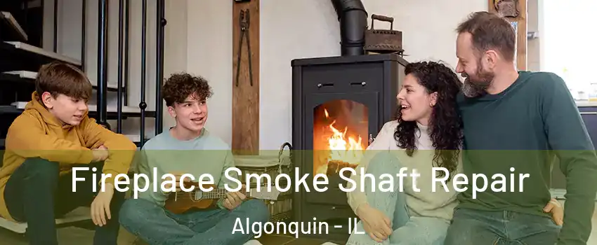  Fireplace Smoke Shaft Repair Algonquin - IL