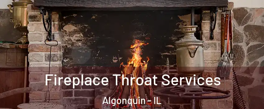  Fireplace Throat Services Algonquin - IL