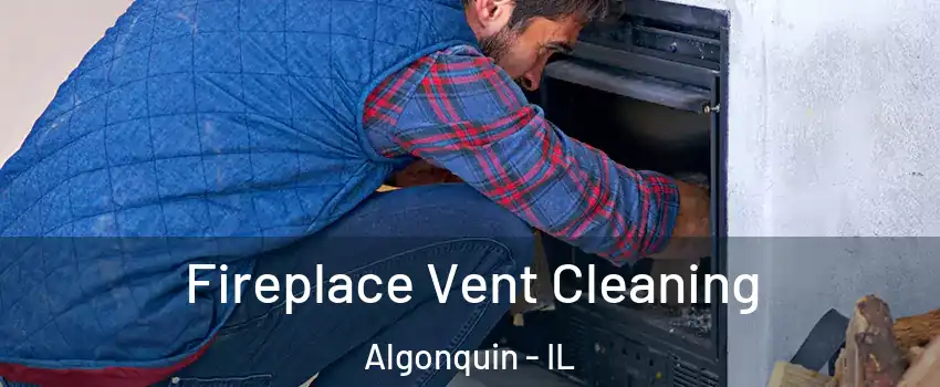  Fireplace Vent Cleaning Algonquin - IL