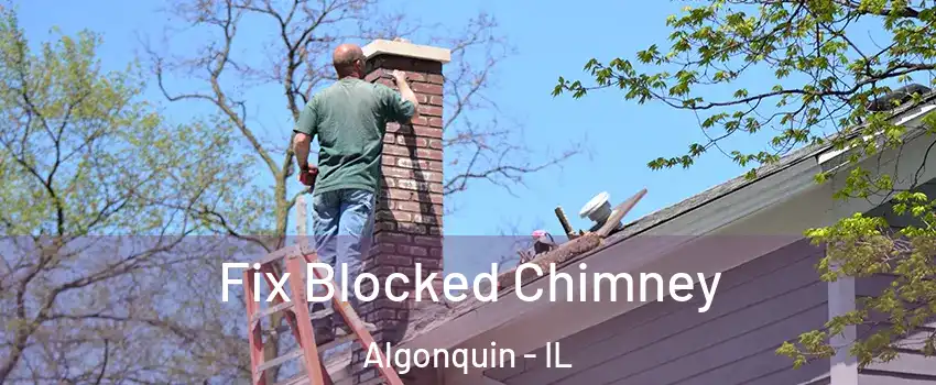  Fix Blocked Chimney Algonquin - IL