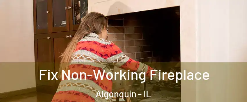  Fix Non-Working Fireplace Algonquin - IL