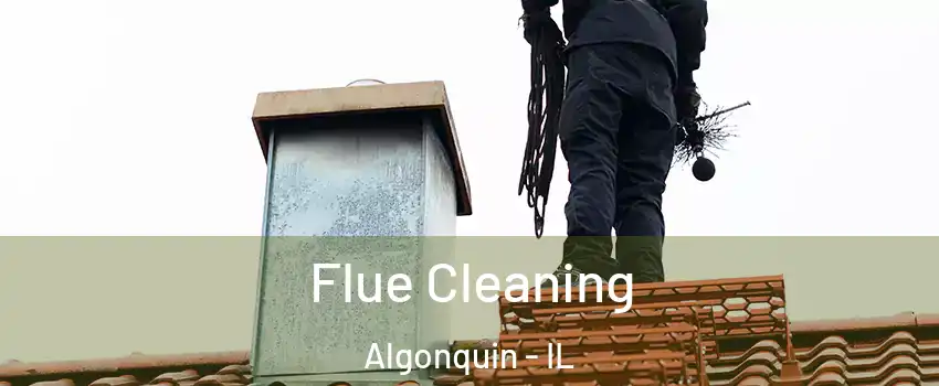  Flue Cleaning Algonquin - IL