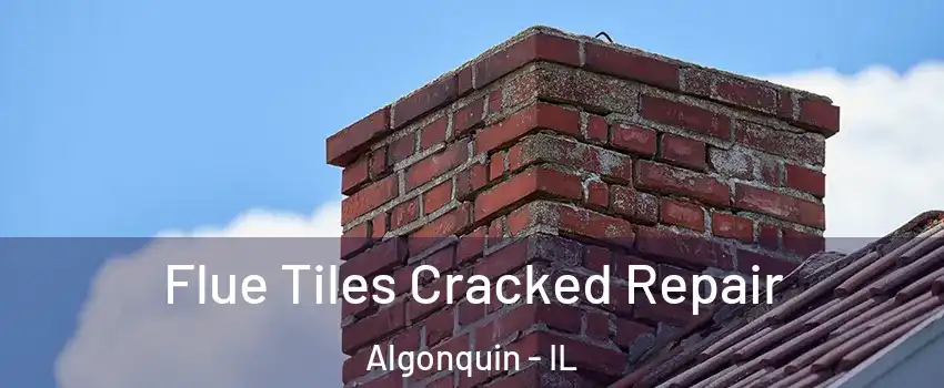  Flue Tiles Cracked Repair Algonquin - IL