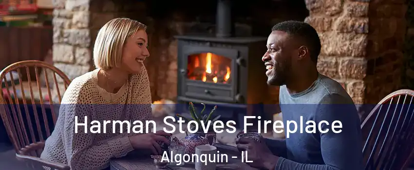  Harman Stoves Fireplace Algonquin - IL
