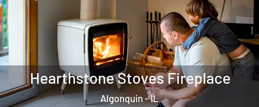  Hearthstone Stoves Fireplace Algonquin - IL