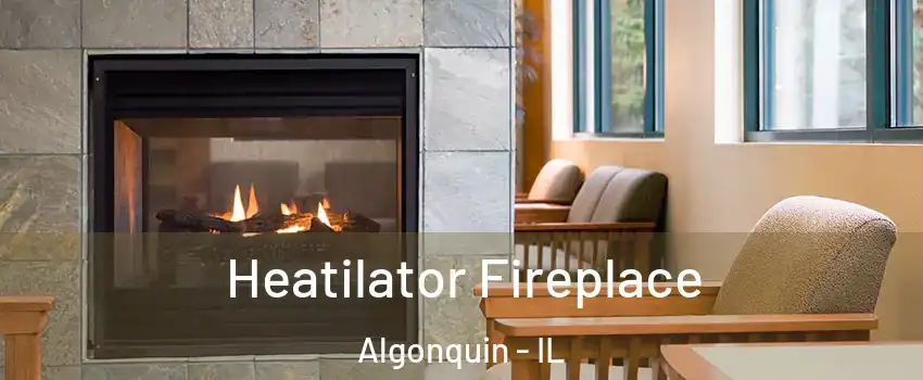  Heatilator Fireplace Algonquin - IL