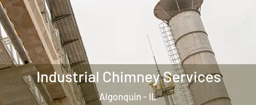  Industrial Chimney Services Algonquin - IL