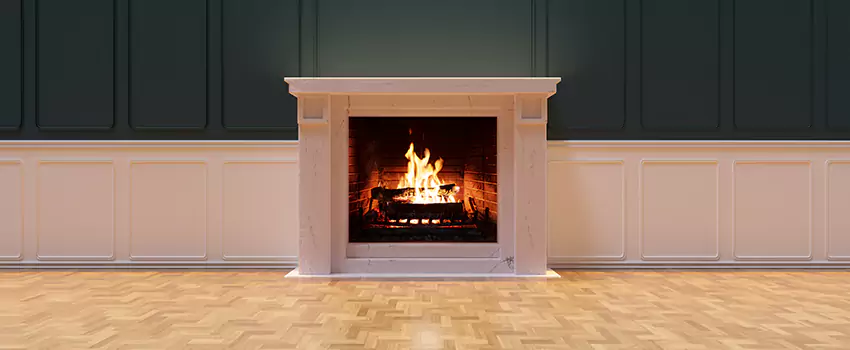 Napoleon Electric Fireplaces Inspection Service in Algonquin, Illinois